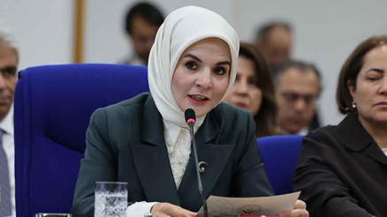 Bakan Göktaş: Günümüzde hanelerin yüzde 50sinde çocuk yok Bakan Göktaş: Günümüzde hanelerin yüzde 50sinde çocuk yok