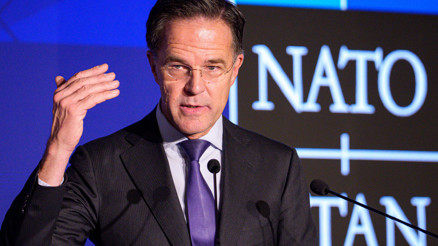 NATO üyesi 8 ülkeden Ukraynaya silah desteği