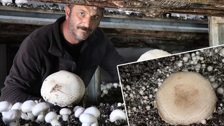 Memleketine döndü devlet desteği aldı: 6 çadır kurdu üretime geçti Gelen taleplere yetişemez oldum