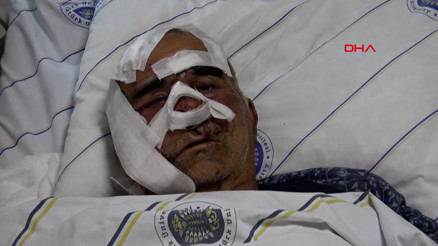 Hayvan otlatırken ayı saldırdı