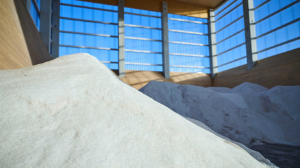 Almanyada iyot krizi: Her 3 kişiden 1i risk altında