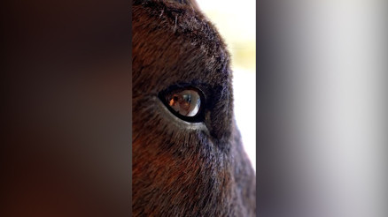 Sanat ile teknolojiyi buluşturan kahve