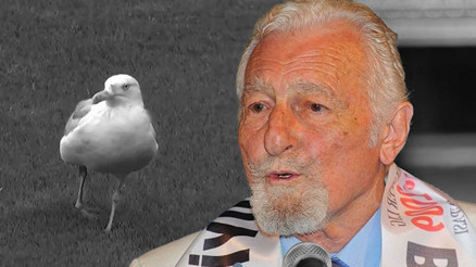 Dolmabahçedeki maçta martı sürprizi: Süleyman Sebanın sözleri akıllara geldi
