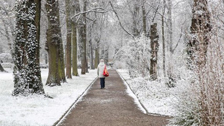 Almanyada hayat felç: Kar ve buzlanma can aldı