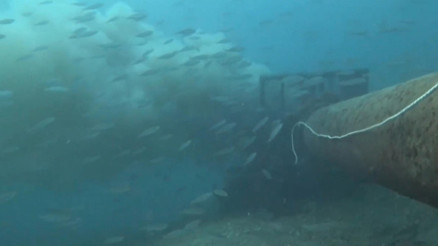 Çanakkale Boğazında denize dökülen pis su böyle görüntülendi