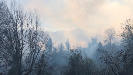 Artvindeki örtü yangını kontrol altına alındı