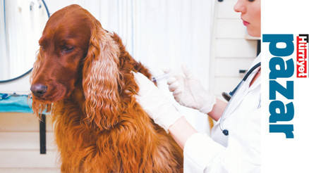 Aşı olmazlarsa tedavisi zor hastalıklar yaşayabilirler