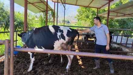 Muğlanın Milas ilçesinde 11 mahalle karantinaya alındı