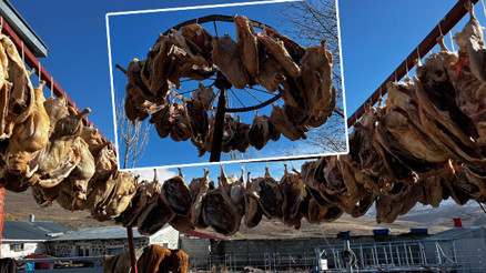 10 gün sonra göndermeye başlayacaklar: Talep patladı İlk İstanbula gelecek