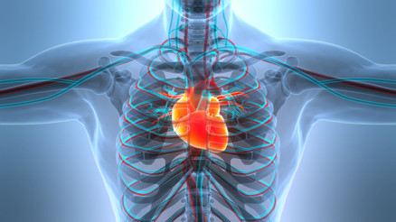 Bir yılda yaklaşık 20 milyon kişi hayatını kaybetti 45 yaş altındaki kişilerde hızla artıyor