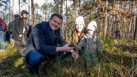 Her bebek için bir ağaç