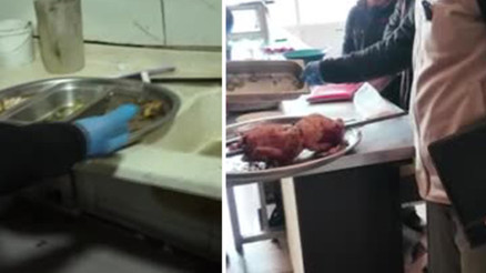 Tavuk dönercide iğrenç görüntüler Zabıta dayanamadı: Leş gibi kokuyor