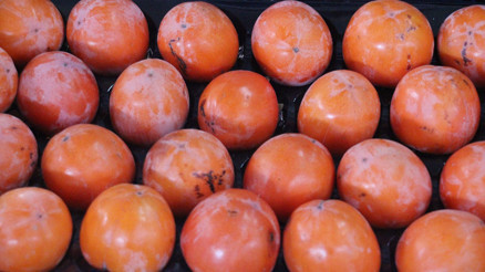 Kış aylarının enerji veren lezzeti: Cennet elması