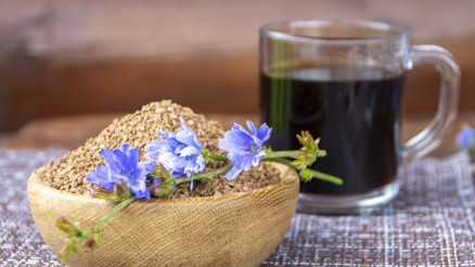 Hindiba kahvesi mi daha sağlıklı filtre kahve mi