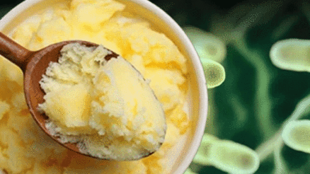 Bağırsak sağlığında yeni bir yıldız: Bütirat