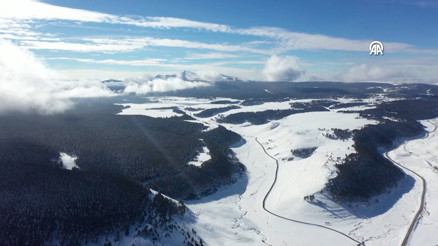 Karsta etkili olan kar yağışı sarıçam ormanlarını beyaza bürüdü
