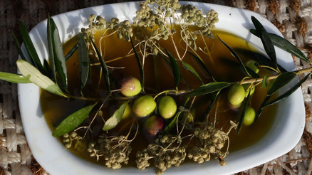 Oleolog Dr. Kıvrak: Erken ve olgun hasat zeytinyağları farklı içeriklere sahiptir