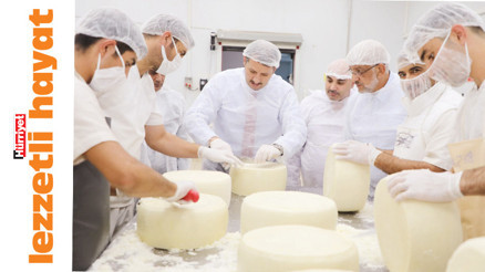 Urfa’dan Amerika’ya uzanan bir peynir hikâyesi Urfa’dan Amerika’ya uzanan bir peynir hikâyesi