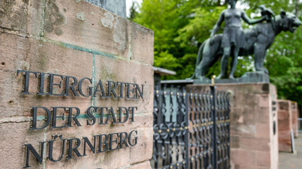 1 Şubat 2026dan İtibaren Geçerli: Nürnberg Hayvanat Bahçesi giriş ücretlerini artırıyor