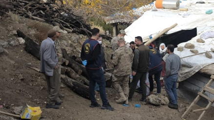 Koruma altındaki hayvanı vuran kişiye 966 bin TL ceza