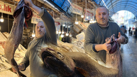 Atlas Okyanusundan Akdenize geldi: 1.5 metre boyunda, 25 kilogram ağırlığında Özel bir balık olduğu için satışa çıkarmıyoruz