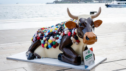 Dikkat inek çıkabilir