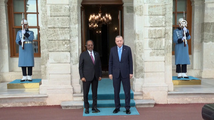 Cumhurbaşkanı Erdoğan, Somali Cumhurbaşkanı Mahmudu kabul etti