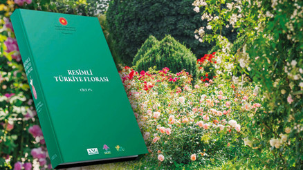10 günde yeni bir tür keşfediliyor... Türkiye’nin bitkileri 30 ciltlik kitap olacak