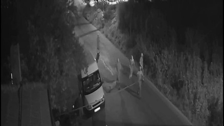 Babaanne ve 2 torununun öldüğü bıçaklı kavganın görüntüleri ortaya çıktı