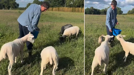 ‘Bıktım tavuk peşinde koşmaktan’ diyordu… Ünlü sunucunun çiftlik macerası çabuk bitti, malikane hayatına geri döndü