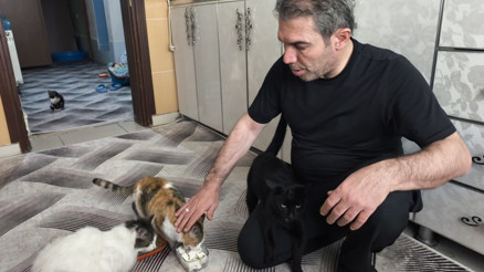 Dondurucu soğukta apartmandaki dairesini kedilere açtı