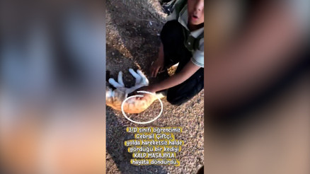 Elleri küçük ama yüreği kocaman... Cebrail Portakal’ı kalp masajıyla kurtardı