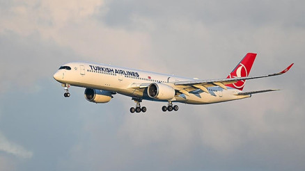 Yolcu, internet ağını tehlikeli isimle değiştirdi; THY uçağı acil iniş yaptı