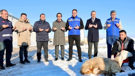 Sivasta son günlerde yoğun şekilde yağan kar nedeniyle Sivas Belediyesi şükür koyunu kesti. Sivas Belediye Başkanı Adem Uzun, yaptığı konuşmada Kar rahmettir, berekettir, toprak için can, su kaynakları için umuttur. dedi.
