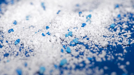 Antarktika’daki böcekten bile mikroplastik çıktı