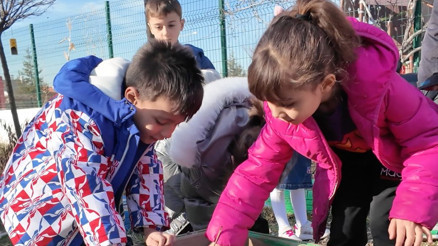 Yağmur hasadıyla çevre bilinci