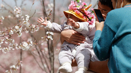 Çinde çiftler çocuk yapmaya yanaşmıyor... Düşen doğum oranları tek çocuk politikasının bedeli mi
