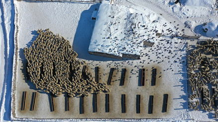Burada bunu yapamayacaksınız, başaramayacaksınız sözlerine aldırış etmedi Devlet desteğiyle işini 6 kat büyüttü