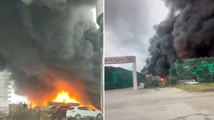 Büyükçekmecede palet ve plastik kasa deposunda yangın