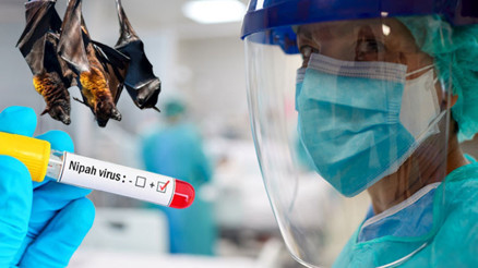 Dünya Sağlık Örgütü alarm verdi Hindistan’da ortaya çıkan Nipah virüsü yeni bir pandeminin mi habercisi Türkiye için tehdit var mı