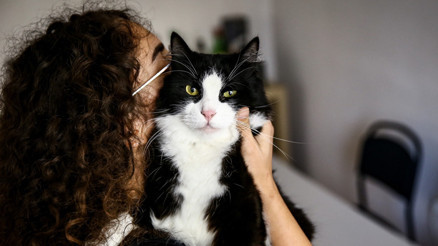 Evcil hayvan kaybı aile üyesi kaybı kadar ağır yas yaşatabiliyor... Evcil hayvan kaybı aile üyesi kaybı kadar ağır yas yaşatabiliyor...