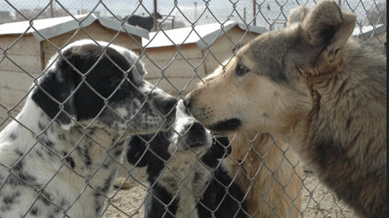 Kapasite artıyor sorumluluk büyüyor