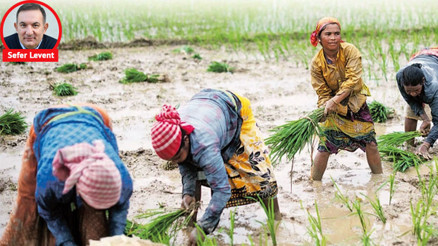 Mississippi ile Gönenli çiftçilerin kader ortaklığı