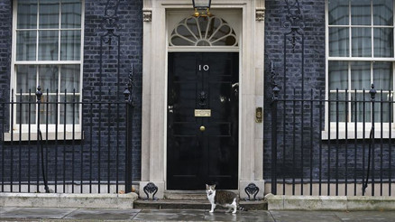 Kritik Starmer - Şi Cniping ziyaret öncesi çarpıcı iddia