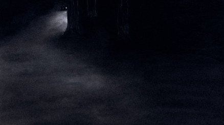 Peyzajın gece hali: Bir peyzaj olasılığı