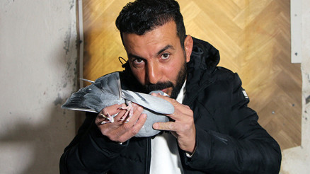 Güvercinini bulup getirene 75 bin TL verecek: Evladım gibi oldu, özel bir kuş