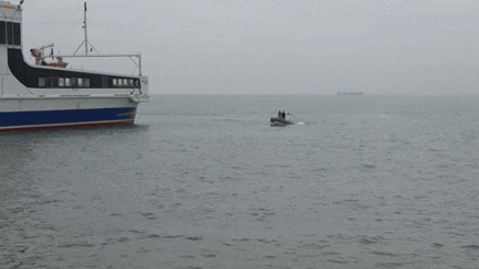 Yalovada korkunç olay Denizde kadın cesedi bulundu