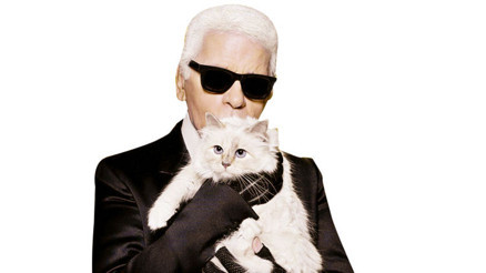 Dev miras davalık oldu Kedisine servet bıraktı