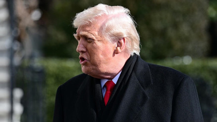 Trumptan ABDde yeni seçim yasası çağrısı
