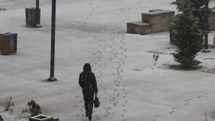 Vanda beyaz esaret 141 yerleşim yerine ulaşım durdu, bir ilçede okullar tatil edildi